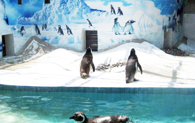 赤峰紅山區(qū)水族館電話號(hào)碼-第1張圖片