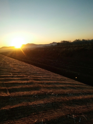 赤峰到八肯中的汽車(chē)電話號(hào)碼-第1張圖片
