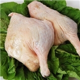 赤峰冷庫雞架廠家電話地址查詢-第1張圖片