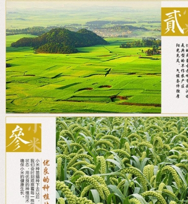 赤峰禮提批發(fā)電話號碼查詢-第1張圖片