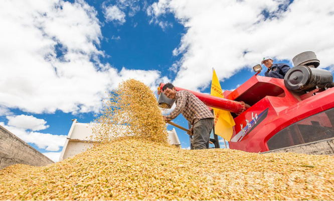 赤峰騰潤(rùn)采摘園電話號(hào)碼查詢-第1張圖片