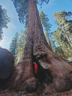 赤峰紅杉國家公園電話號碼-第1張圖片