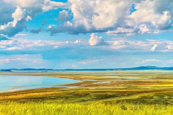 赤峰景麗臺(tái)球廳地址電話號(hào)碼-第1張圖片