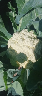 赤峰東仙超市電話號碼多少-第1張圖片