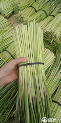 赤峰市蒜苔批發(fā)電話號碼-第1張圖片