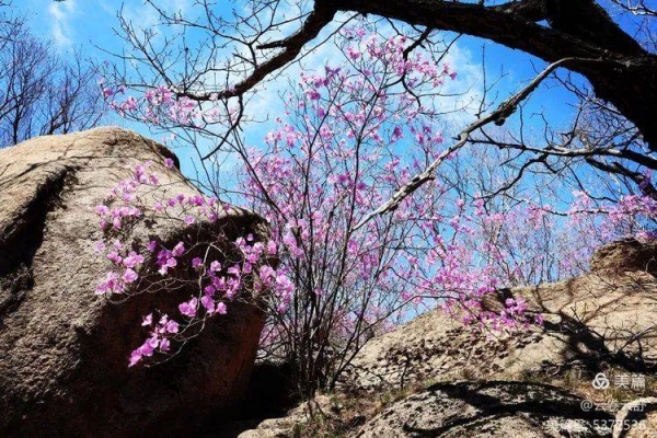 赤峰寧城縣莫泰酒店電話號(hào)碼-第1張圖片