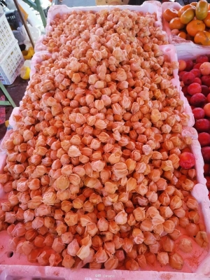 赤峰到海拉爾網(wǎng)約車電話號碼-第1張圖片