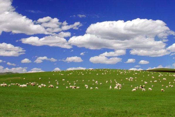 赤峰市格林特制藥電話號碼-第1張圖片