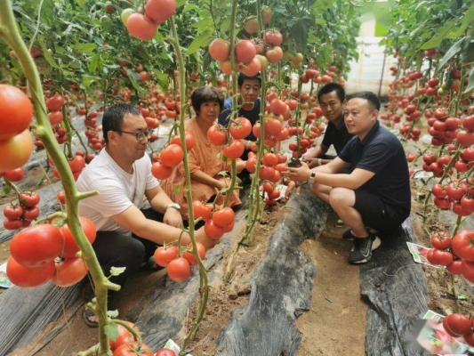 赤峰寧城曉娟診所電話多少號-第1張圖片