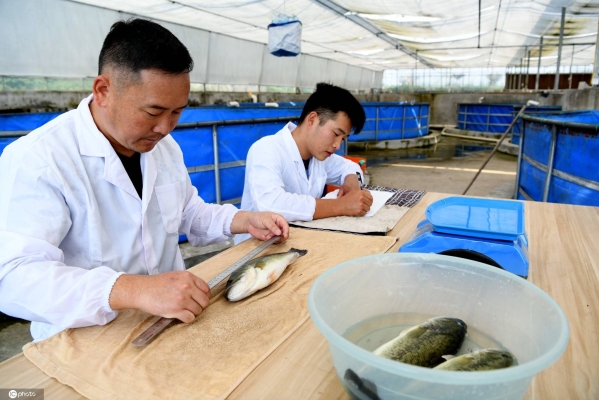 赤峰市糧種場(chǎng)電話(huà)號(hào)碼查詢(xún)-第1張圖片