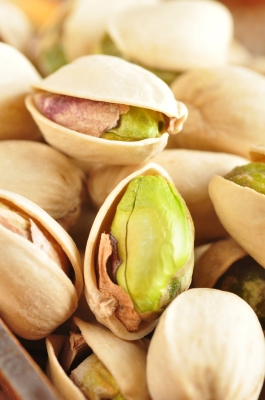 赤峰開心果網(wǎng)吧電話號(hào)碼多少-第1張圖片