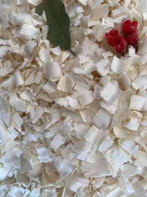 赤峰刨花板招商電話號碼是多少-第1張圖片