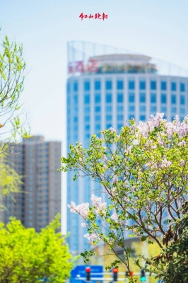 赤峰路業(yè)務(wù)員聯(lián)系電話號碼-第1張圖片