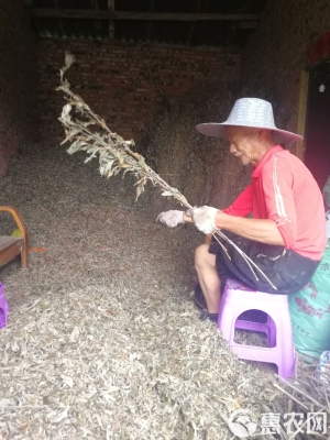 赤峰艾葉批發(fā)電話號碼多少號-第1張圖片