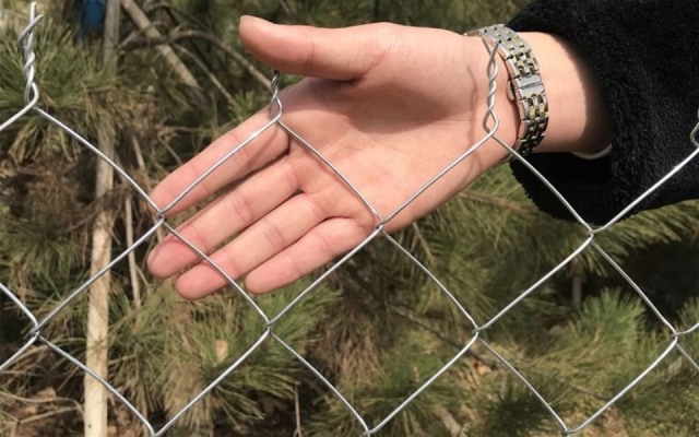 赤峰養(yǎng)鹿合作社電話地址查詢-第1張圖片