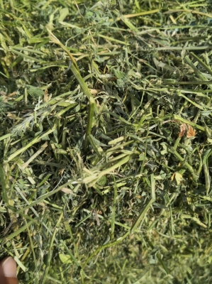 赤峰草捆采購(gòu)信息-第1張圖片