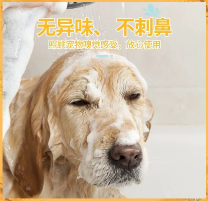 赤峰寵物修毛工具廠電話號碼-第1張圖片