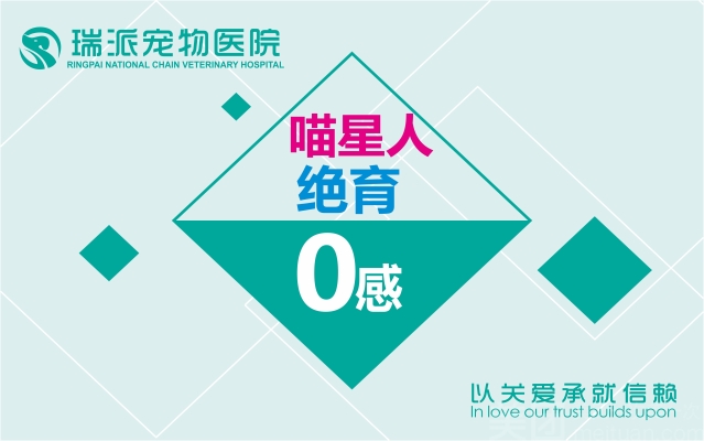 赤峰市星際寵物醫(yī)院電話號(hào)碼-第1張圖片