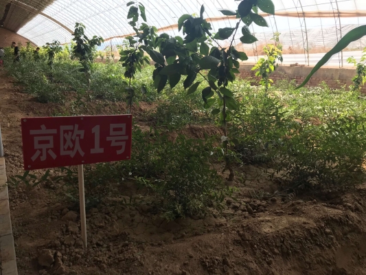 赤峰歐尚生活館電話地址查詢-第1張圖片