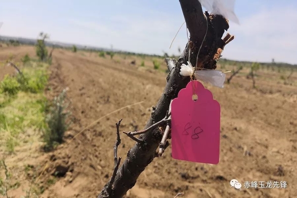 赤峰市戶美商貿(mào)公司電話號(hào)碼-第1張圖片