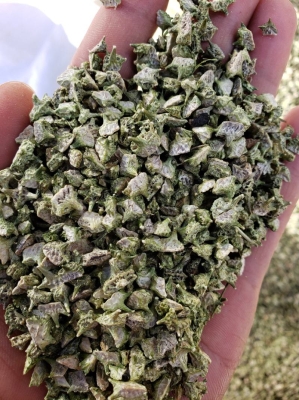 赤峰鉬酸銨批發(fā)商電話號(hào)碼-第1張圖片