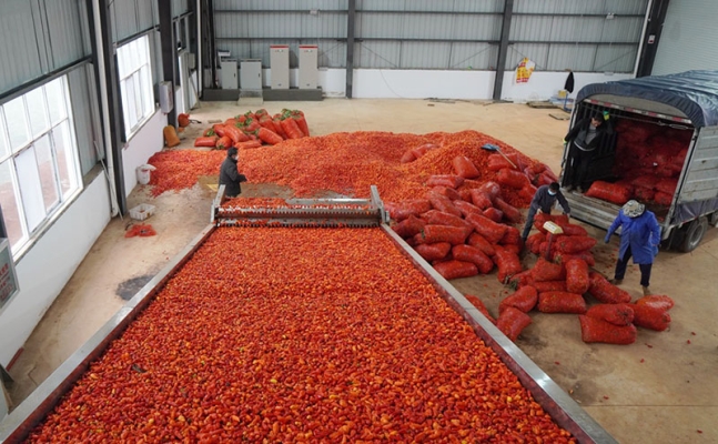 赤峰收購輸送帶電話號碼多少-第1張圖片