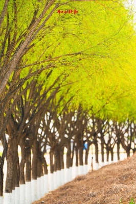 赤峰建飛騰躍物業(yè)電話號(hào)碼查詢-第1張圖片