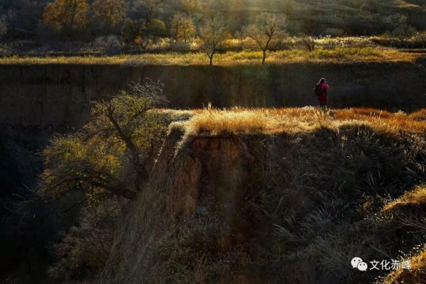 赤峰市薛家溝社區(qū)電話號(hào)碼-第1張圖片