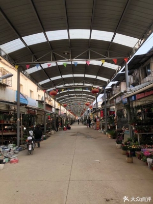 赤峰道博寵物批發(fā)店電話號碼-第1張圖片