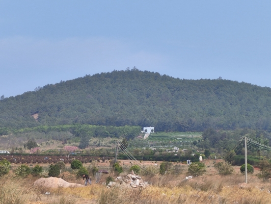 赤峰市松山區(qū)公墓電話號(hào)碼-第1張圖片