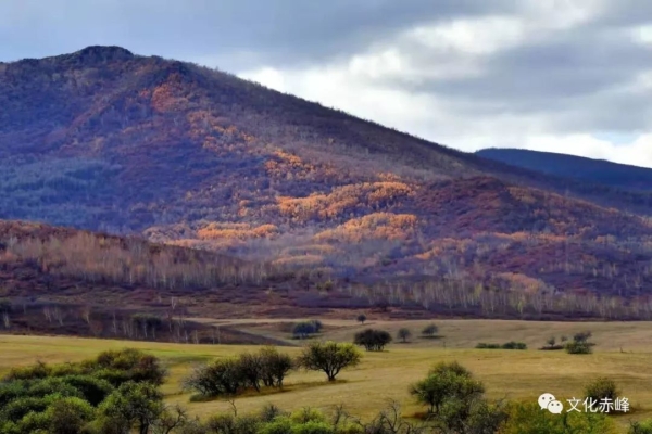 赤峰洪風(fēng)馬術(shù)館電話號碼多少-第1張圖片