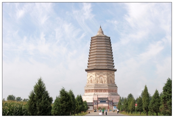 赤峰林東羊苗廠電話地址查詢-第1張圖片