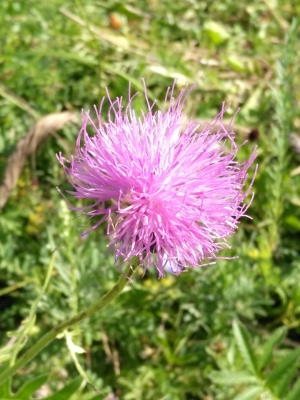 赤峰八號拉鏈廠地址電話號碼-第1張圖片