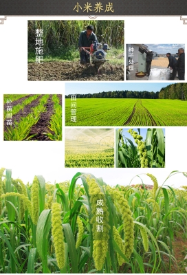 赤峰雜糧店鋪電話多少啊-第1張圖片