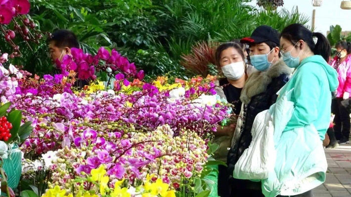 赤峰批發(fā)花卉基地電話號(hào)碼-第1張圖片