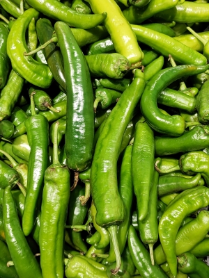 赤峰青辣椒清洗機(jī)售后電話號碼-第1張圖片