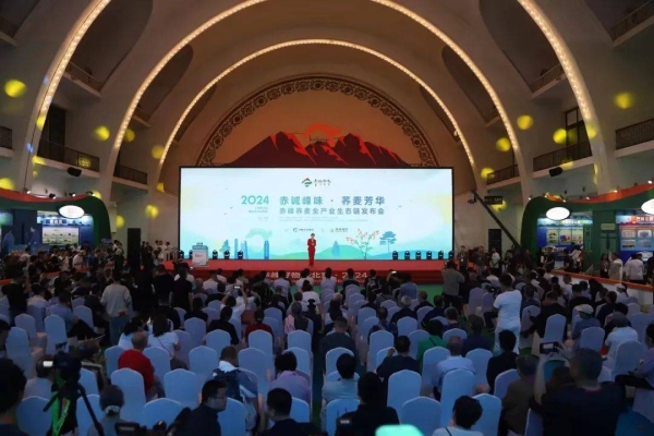 赤峰京香婚宴酒店電話多少號(hào)-第1張圖片