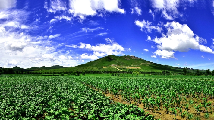 赤峰林西泳衣店電話(huà)多少號(hào)-第1張圖片