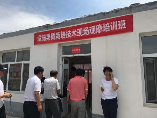 內蒙古赤峰葵花種植電話是多少-第1張圖片