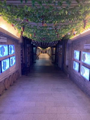 赤峰葡萄酒博物館電話號碼-第1張圖片