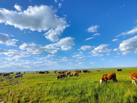 三河到赤峰幾個小時-第1張圖片