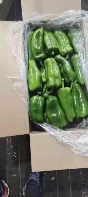 赤峰尖椒收購(gòu)商電話是多少號(hào)-第1張圖片