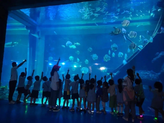 赤峰新城海洋館電話號(hào)碼多少-第1張圖片