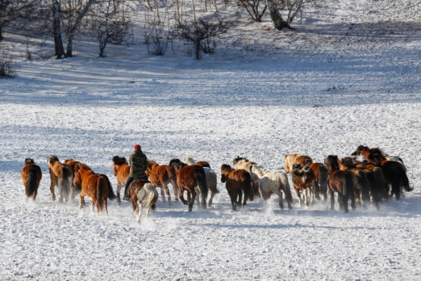 赤峰牧神經(jīng)銷商電話地址查詢-第1張圖片