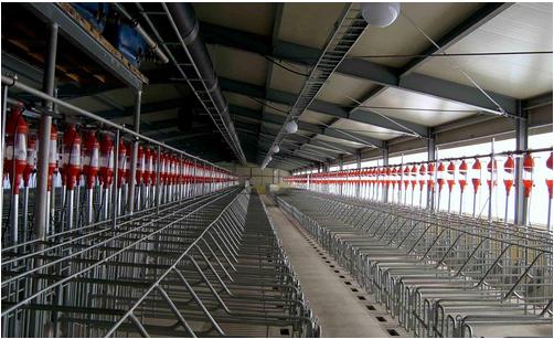 赤峰德贏養(yǎng)殖設(shè)備廠電話號碼-第1張圖片