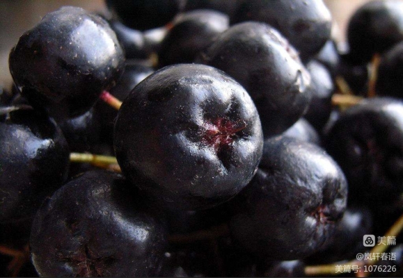 赤峰收葡萄酒電話是多少號-第1張圖片