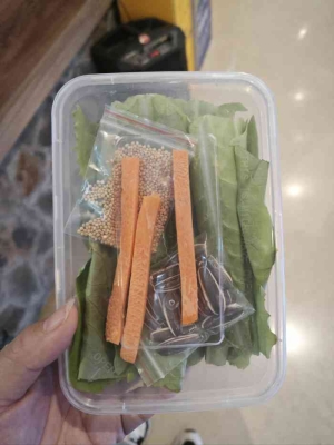 赤峰市橋邊動(dòng)物園電話號(hào)碼-第1張圖片