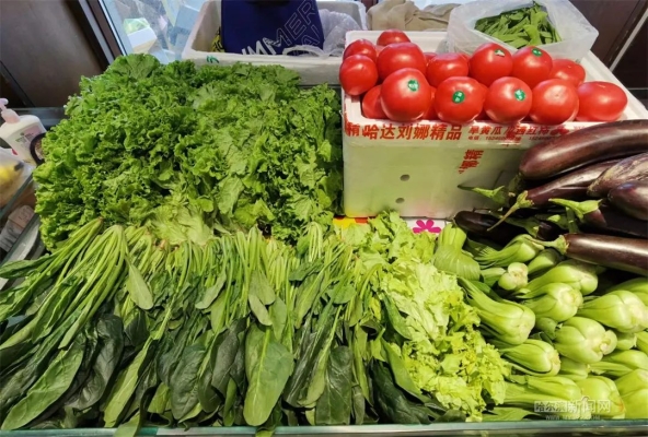 赤峰市哈達防保站電話號碼-第1張圖片