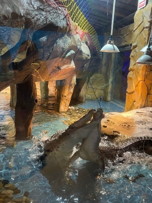 赤峰市海底樂園電話號(hào)碼查詢-第1張圖片