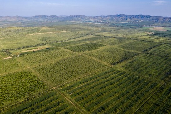 赤峰萬悅紋眉店電話號碼多少-第1張圖片